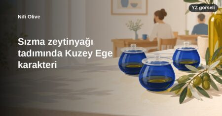 Zeytinyağı fiyatları hangi etkenlerle şekillenir?